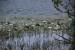 resized_DSC_0603