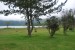 resized_DSC_0611