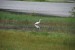 resized_DSC_0616