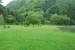 resized_DSC_0619
