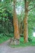 resized_DSC_0622