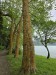 resized_DSC_0623