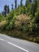 resized_DSC_0658