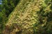 resized_DSC_0664