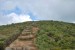 resized_DSC_0677