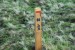 resized_DSC_0693