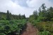 resized_DSC_0703