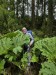 resized_DSC_0704