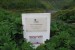 resized_DSC_0707