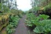 resized_DSC_0708