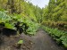 resized_DSC_0709
