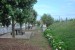 resized_DSC_0729