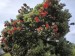 resized_DSC_0729_1