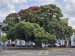 resized_DSC_0748