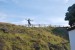 resized_DSC_0765