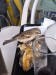resized_DSC_0766_11