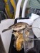 resized_DSC_0766_12