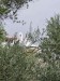 resized_IMG_5663_13