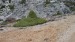 resized_IMG_5691
