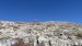 resized_IMG_5841