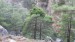 resized_IMG_5925