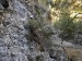 resized_IMG_5930