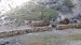resized_IMG_5996