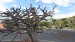 resized_IMG_0004
