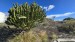 resized_IMG_0009_2