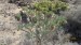 resized_IMG_0013