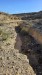 resized_IMG_0021