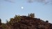 resized_IMG_0065_1