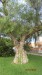 resized_IMG_0114