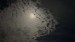 resized_IMG_0121_1