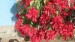 resized_IMG_0127