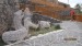 resized_IMG_0155
