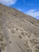 resized_IMG_0171_1