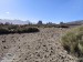 resized_IMG_0190_1