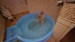 resized_IMG_0193