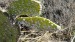 resized_IMG_0207