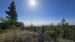 resized_IMG_0218