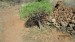 resized_IMG_0225
