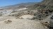 resized_IMG_0264