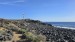 resized_IMG_0290_2