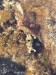 resized_IMG_0298_1