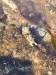 resized_IMG_0298_2