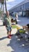 resized_IMG_0311_1.